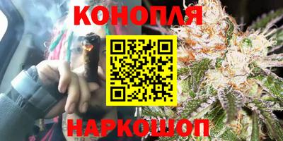 jwh Будённовск