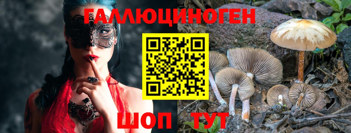 Курган  закладки  Вход с VPN  Псилоцибиновые грибы GOLDEN TEACHER 